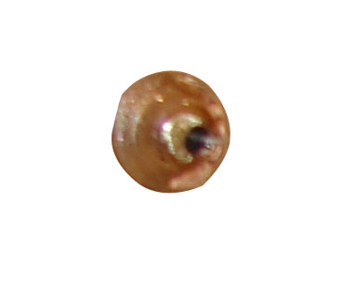 beads