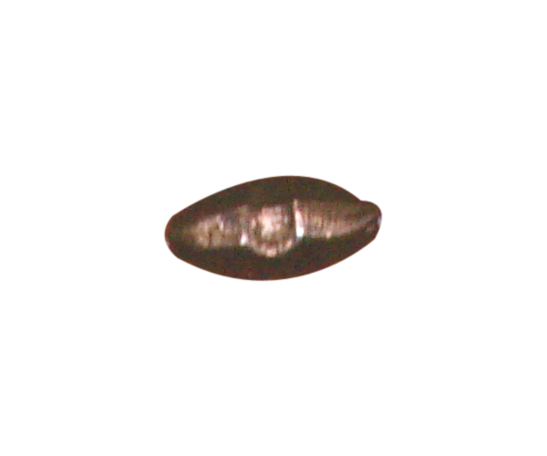 beads