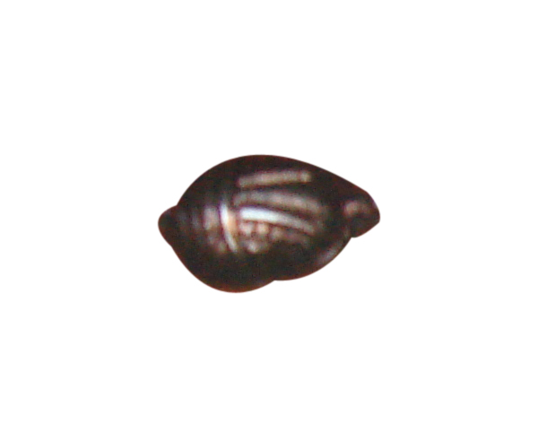 beads