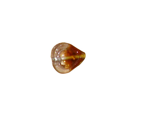 beads