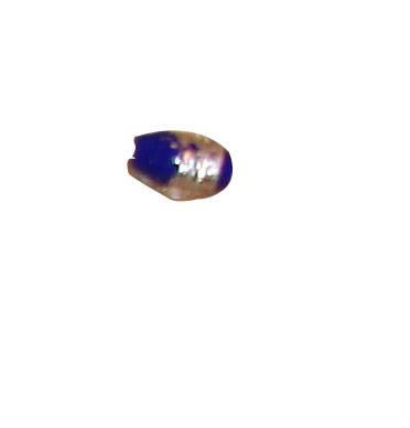 beads