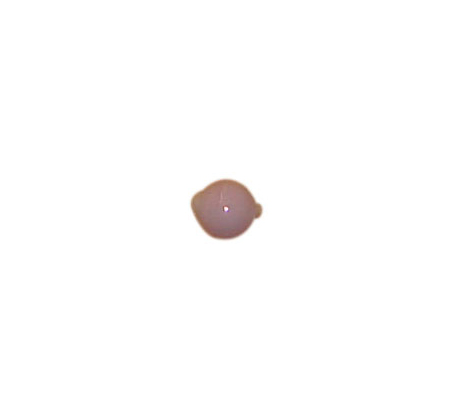 beads