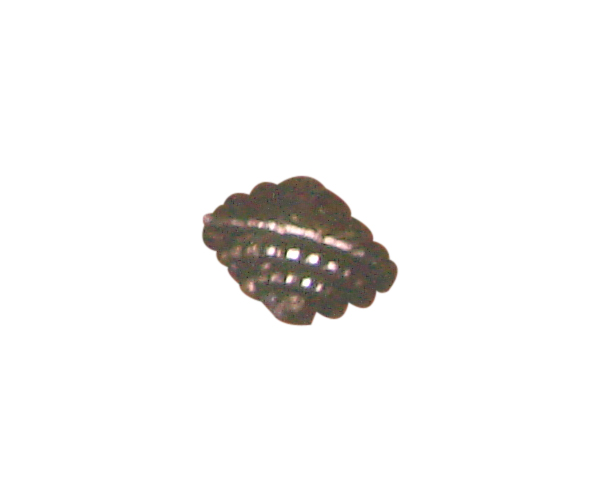 beads