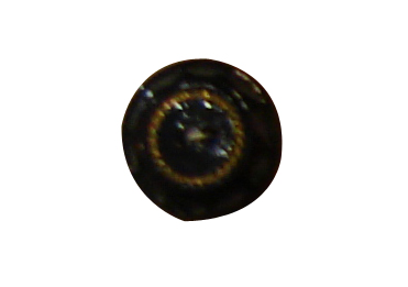 buttons