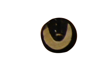 buttons