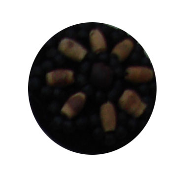 buttons