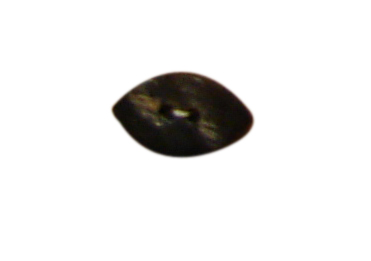 buttons