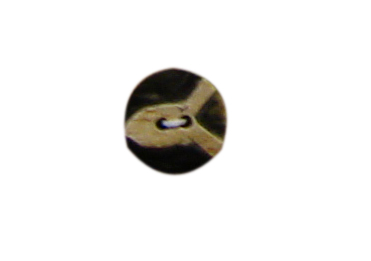 buttons