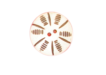 buttons