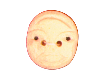 buttons