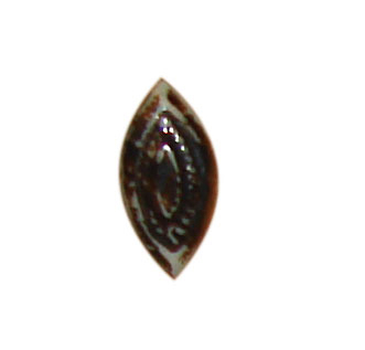 buttons