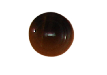 buttons