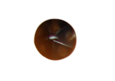 buttons