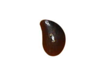 buttons