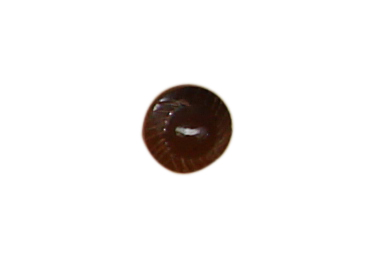 buttons