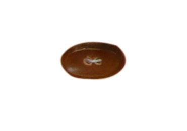 buttons