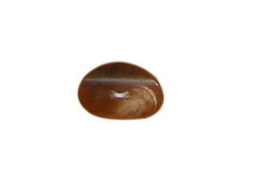 buttons