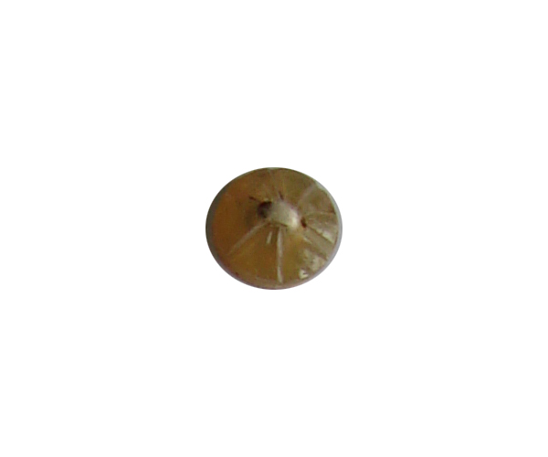 buttons