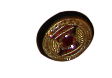 buttons