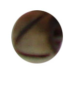 buttons