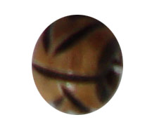 buttons