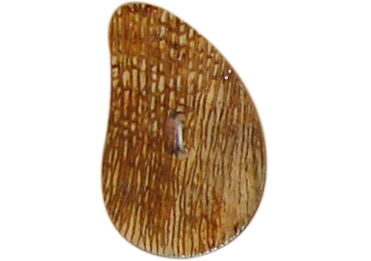 buttons
