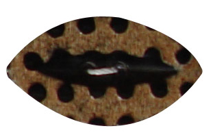 buttons