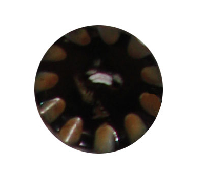 buttons