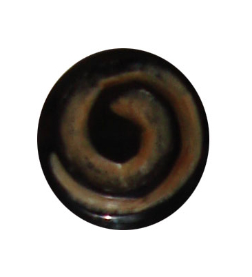buttons