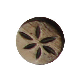 buttons