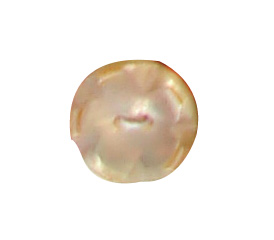 buttons