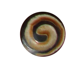 buttons