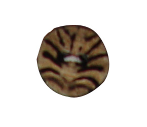 buttons