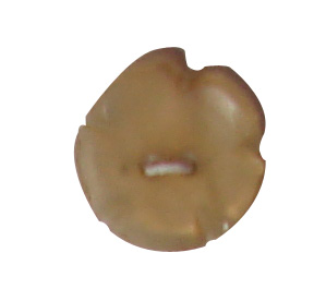 buttons