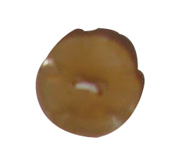 buttons