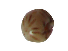 buttons