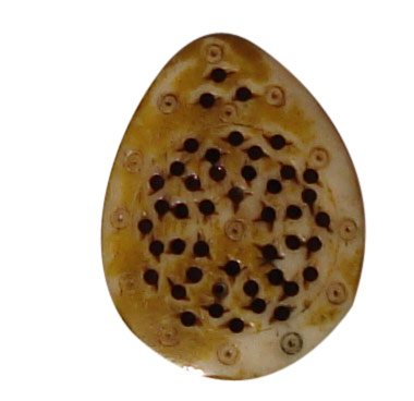 buttons