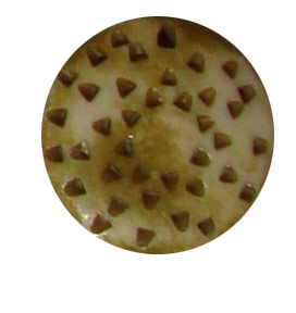 buttons