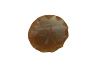buttons