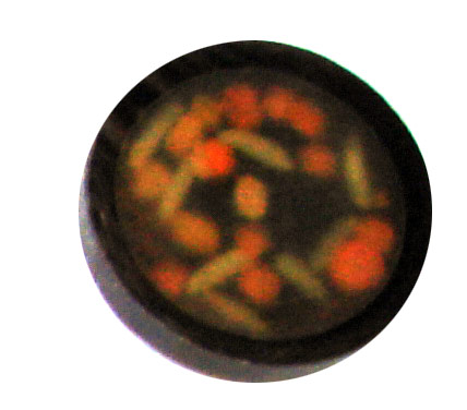 buttons