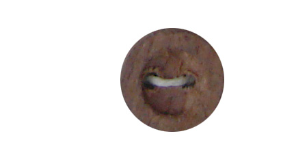 buttons