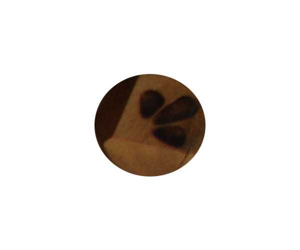 buttons