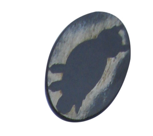 buttons