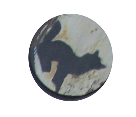 buttons