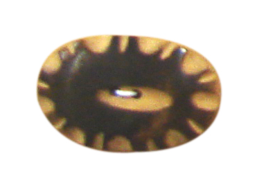 buttons