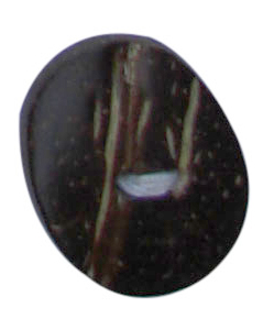 buttons